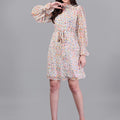 Doted Multi Color dress